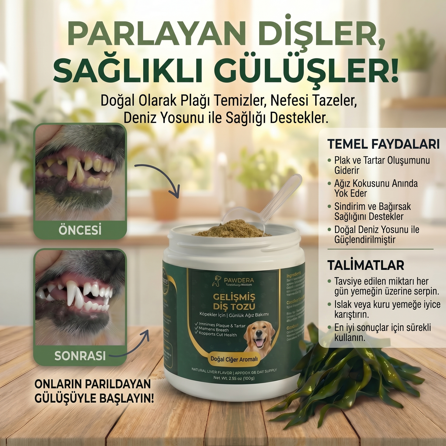 Pawdera Gelişmiş Köpek Diş Tozu