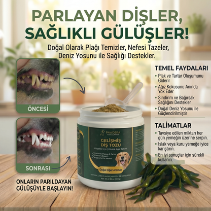 Pawdera Gelişmiş Köpek Diş Tozu